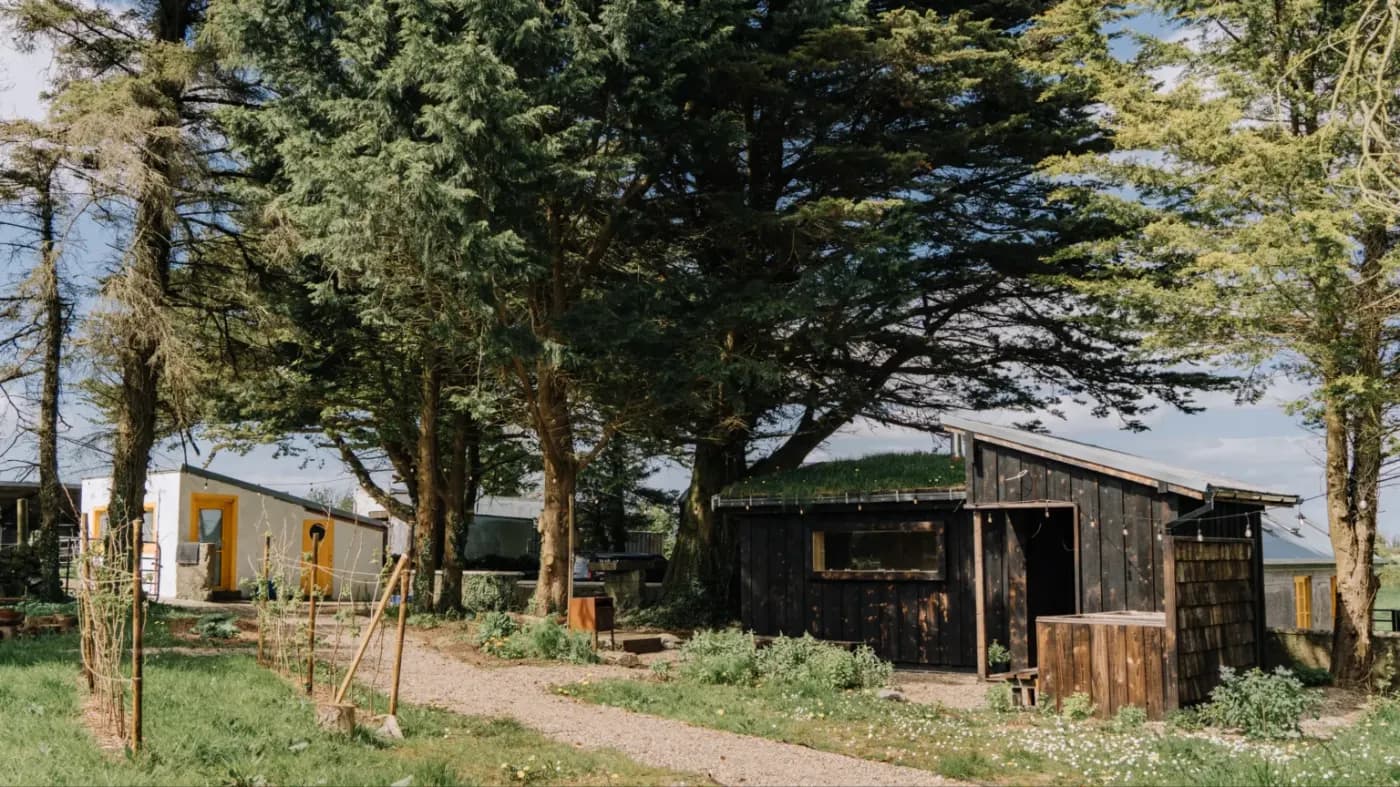 Custom hand-built sauna construction at Mad Yolk Farm